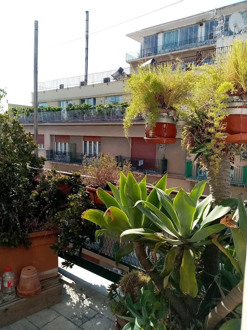 Ariston Petit Hotel Παλέρμο Ιταλία